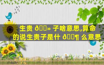 生贵 🌻 子啥意思,算命的说生贵子是什 🐶 么意思